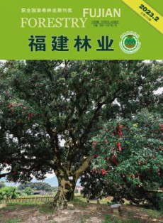 福建林业